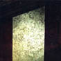 Plants: image 4 0f 6 thumb